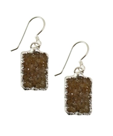 Earring_Brown silver